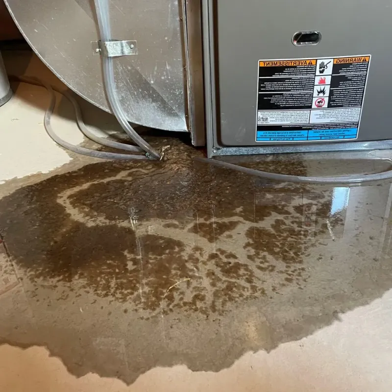 Pipe Burst and Leak Restoration in Sand Point, AK